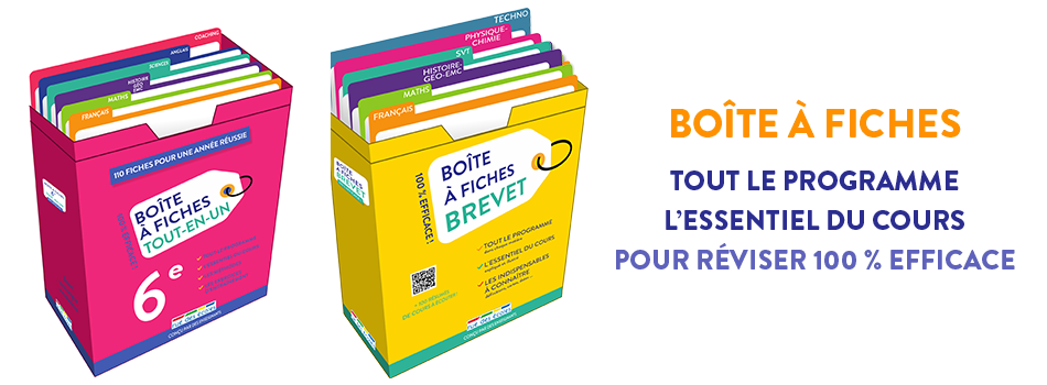 Boîte à fiches : tout le programme, l'essentiel du cours pour réviser 100 % efficace